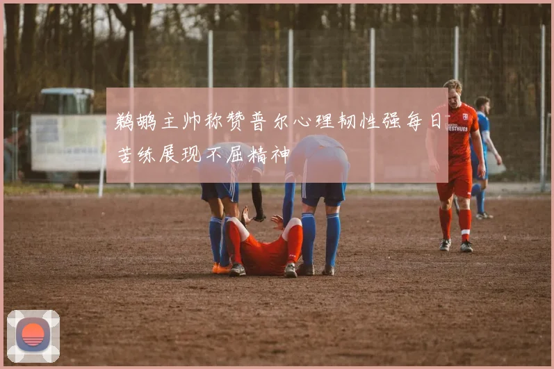 鹈鹕主帅称赞普尔心理韧性强每日苦练展现不屈精神